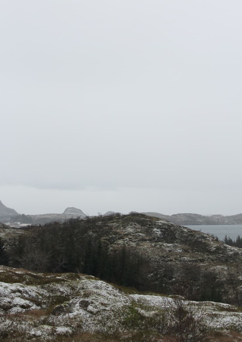 Master project detail 5