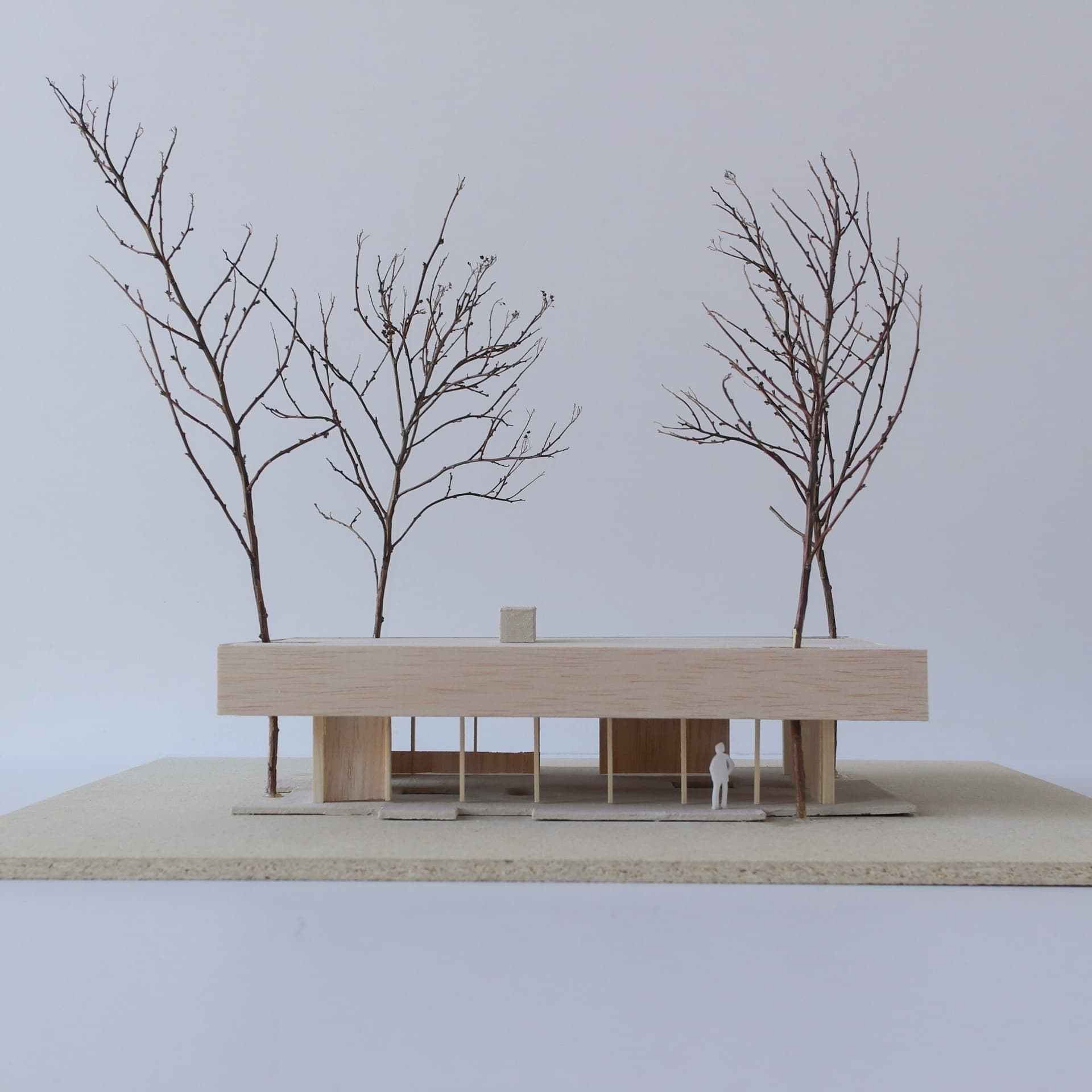 Mellom furutrærne 1