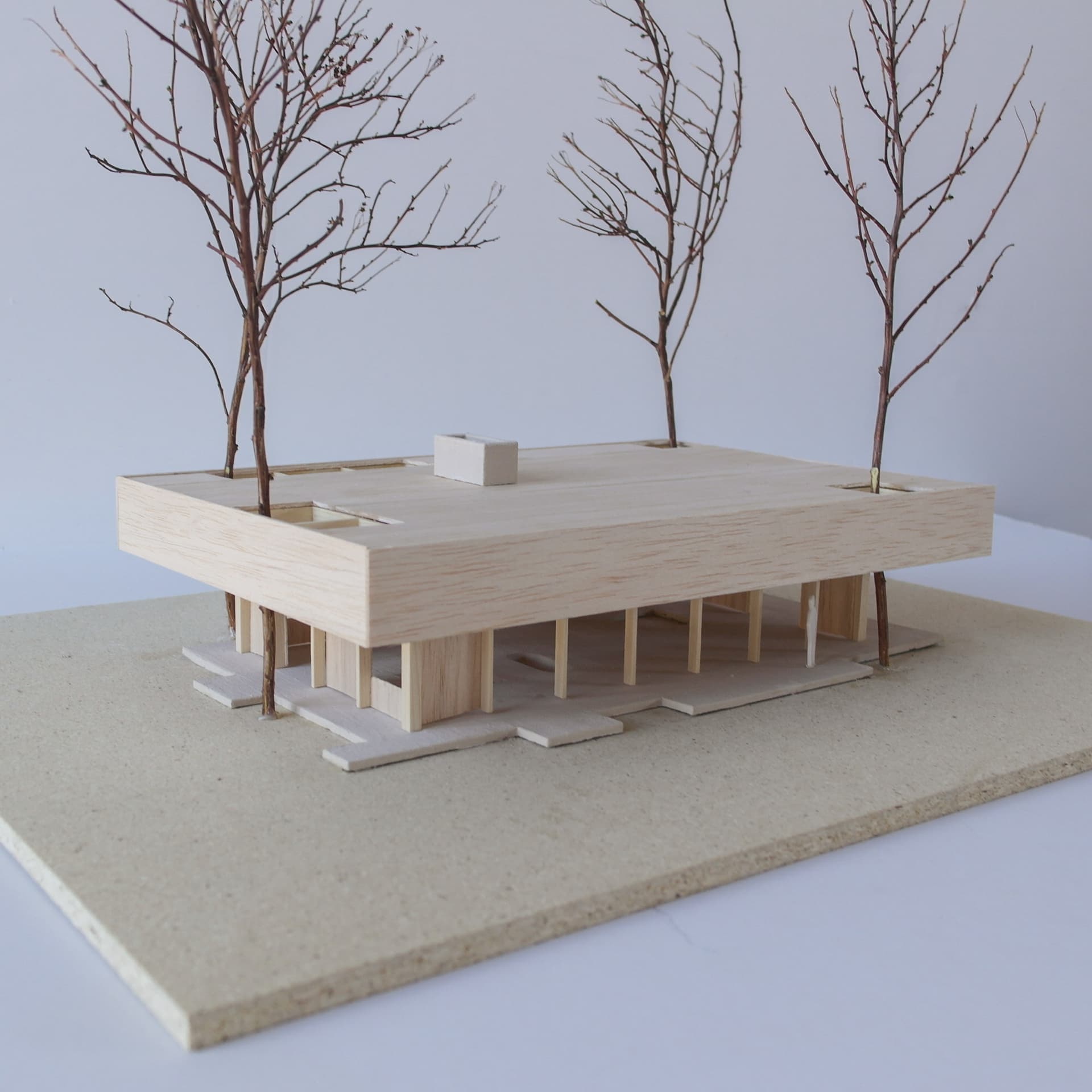 Mellom furutrærne 2