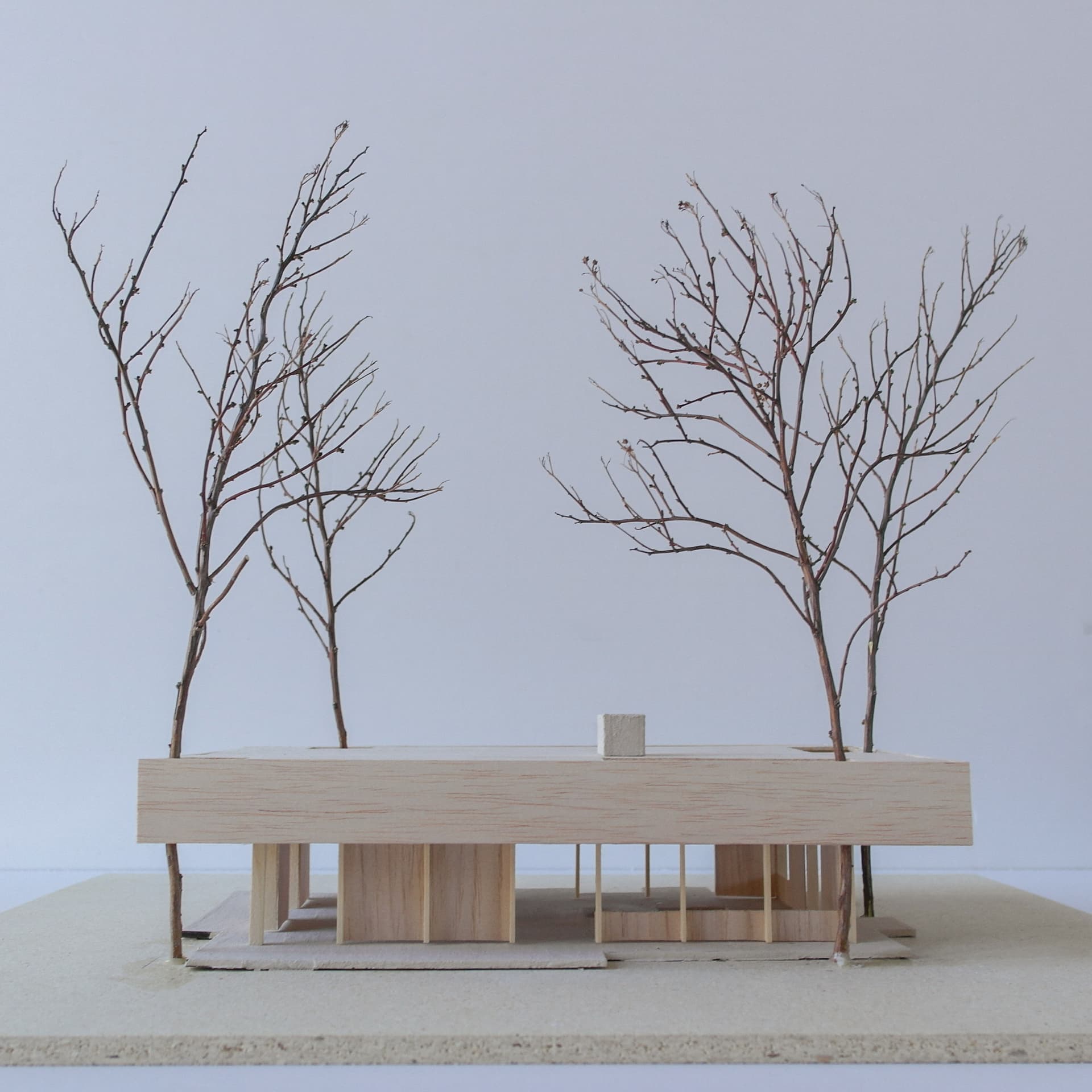 Mellom furutrærne 4