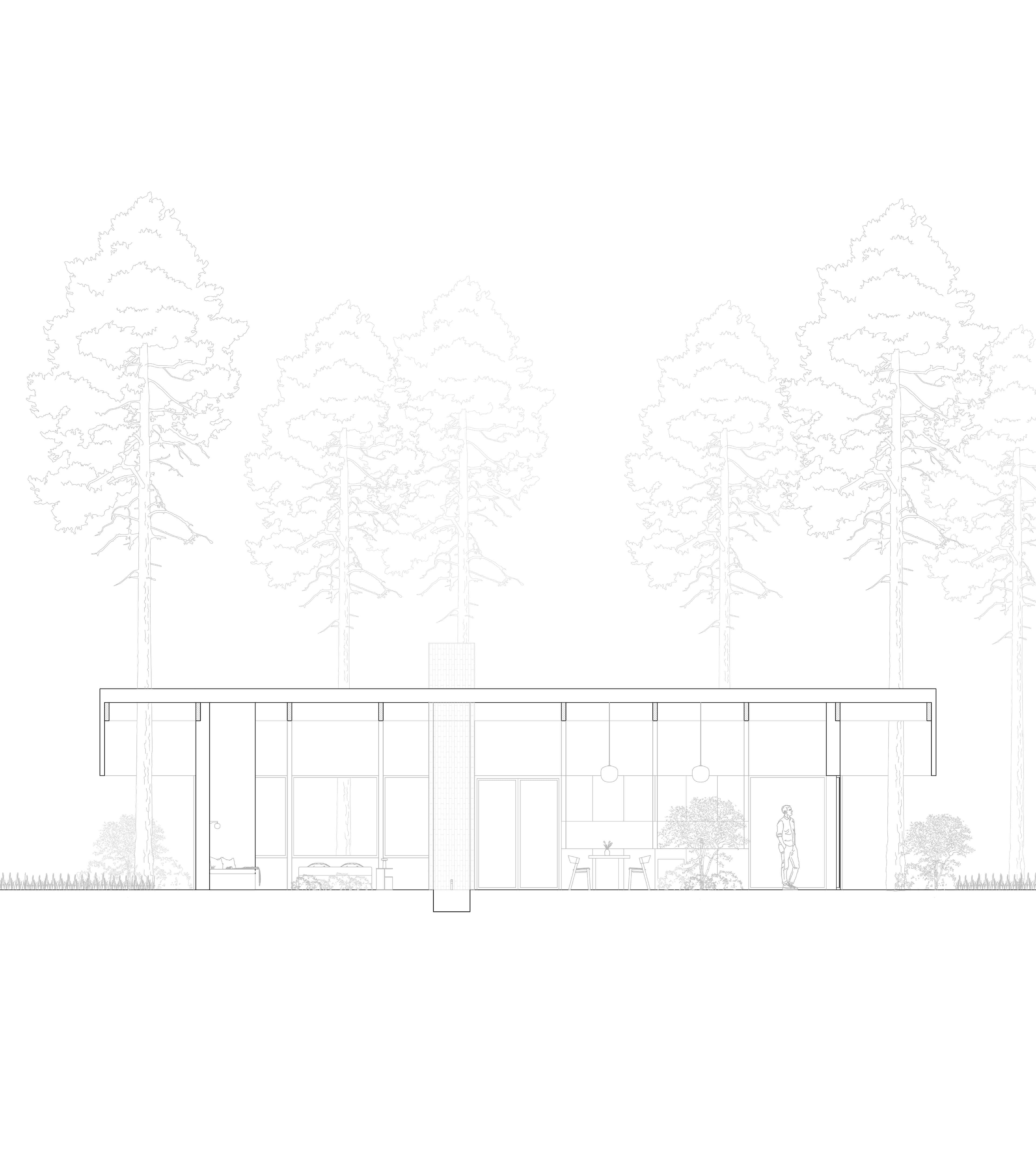 Mellom furutrærne 2