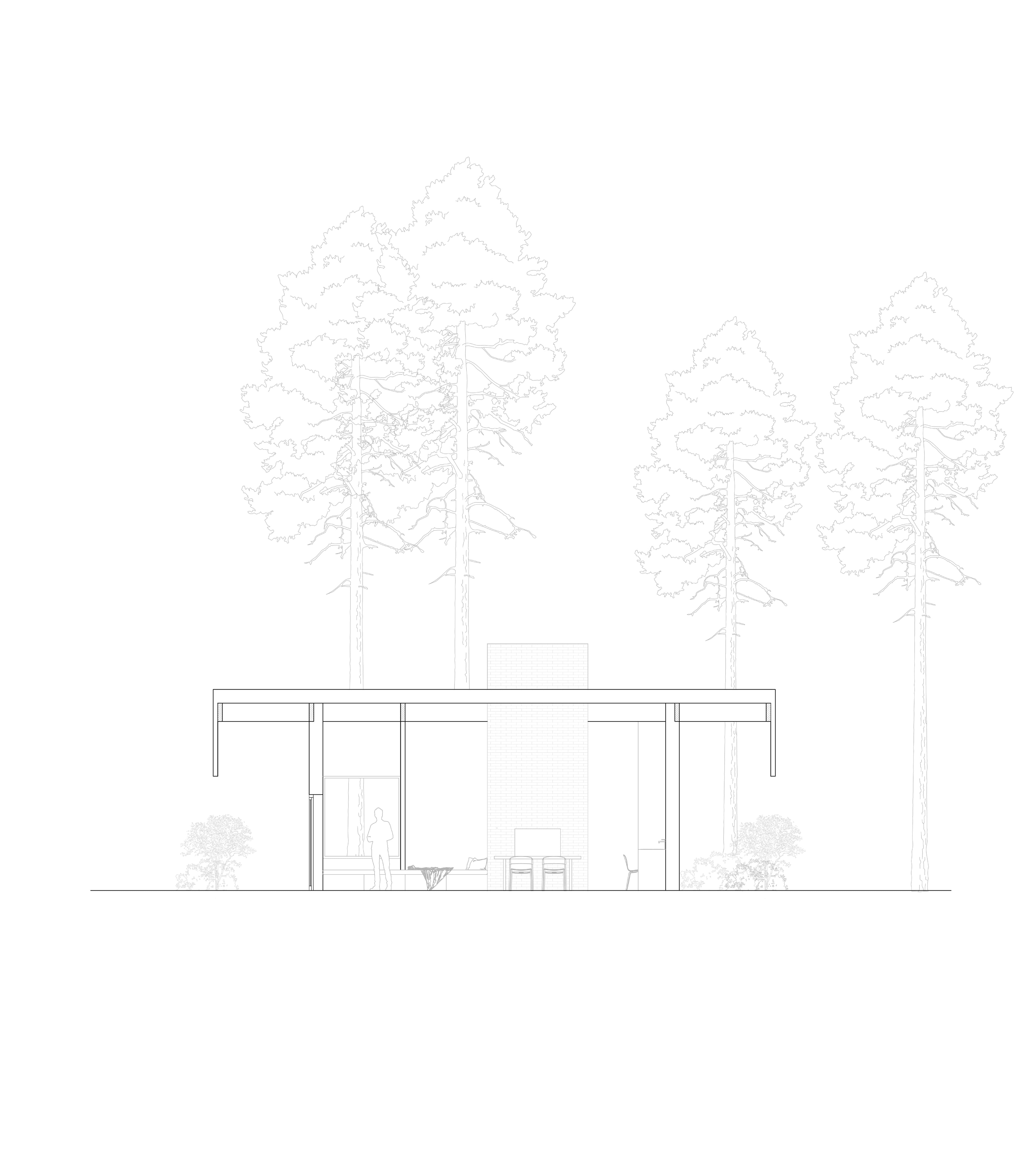 Mellom furutrærne 3