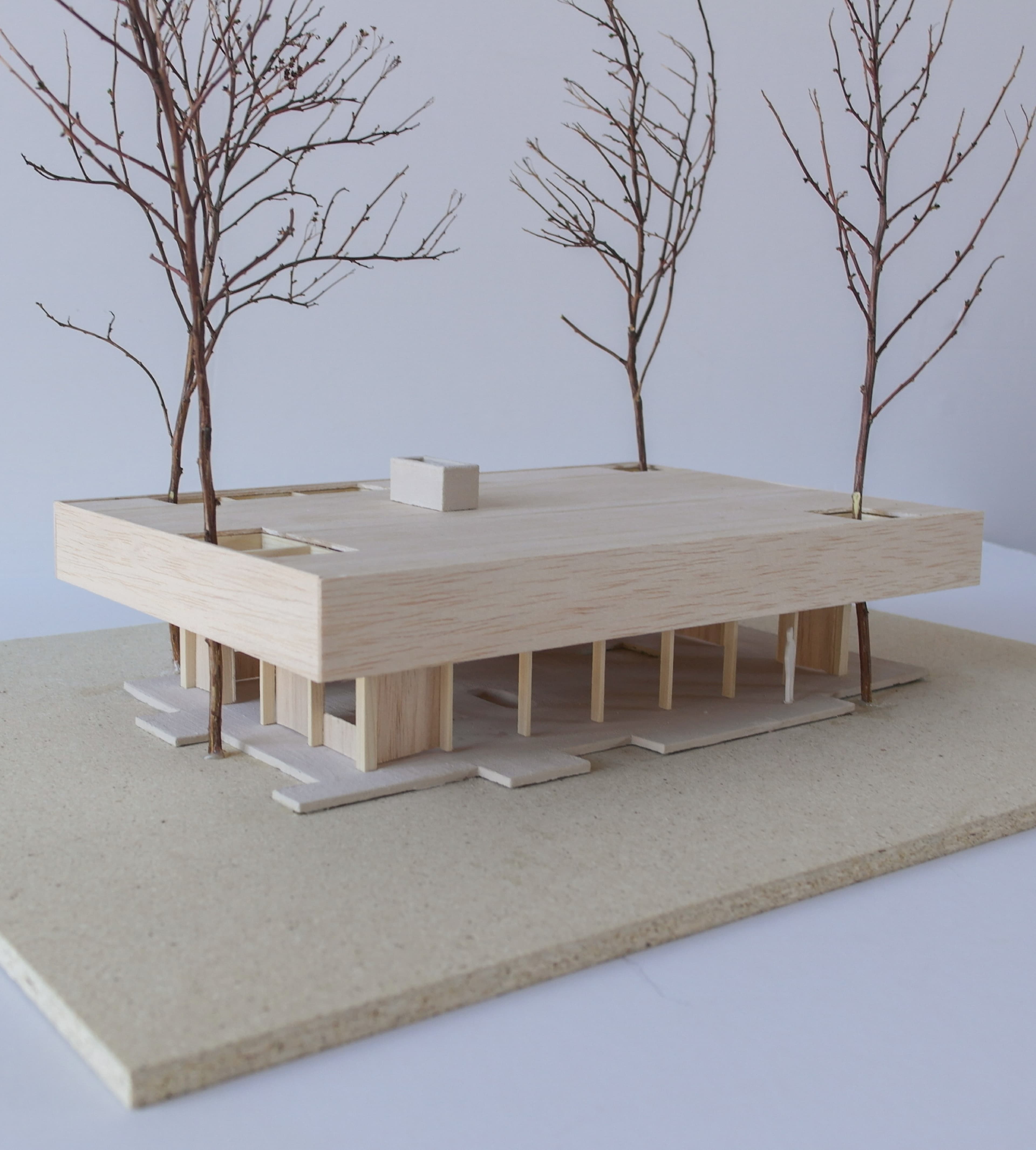 Mellom furutrærne 5