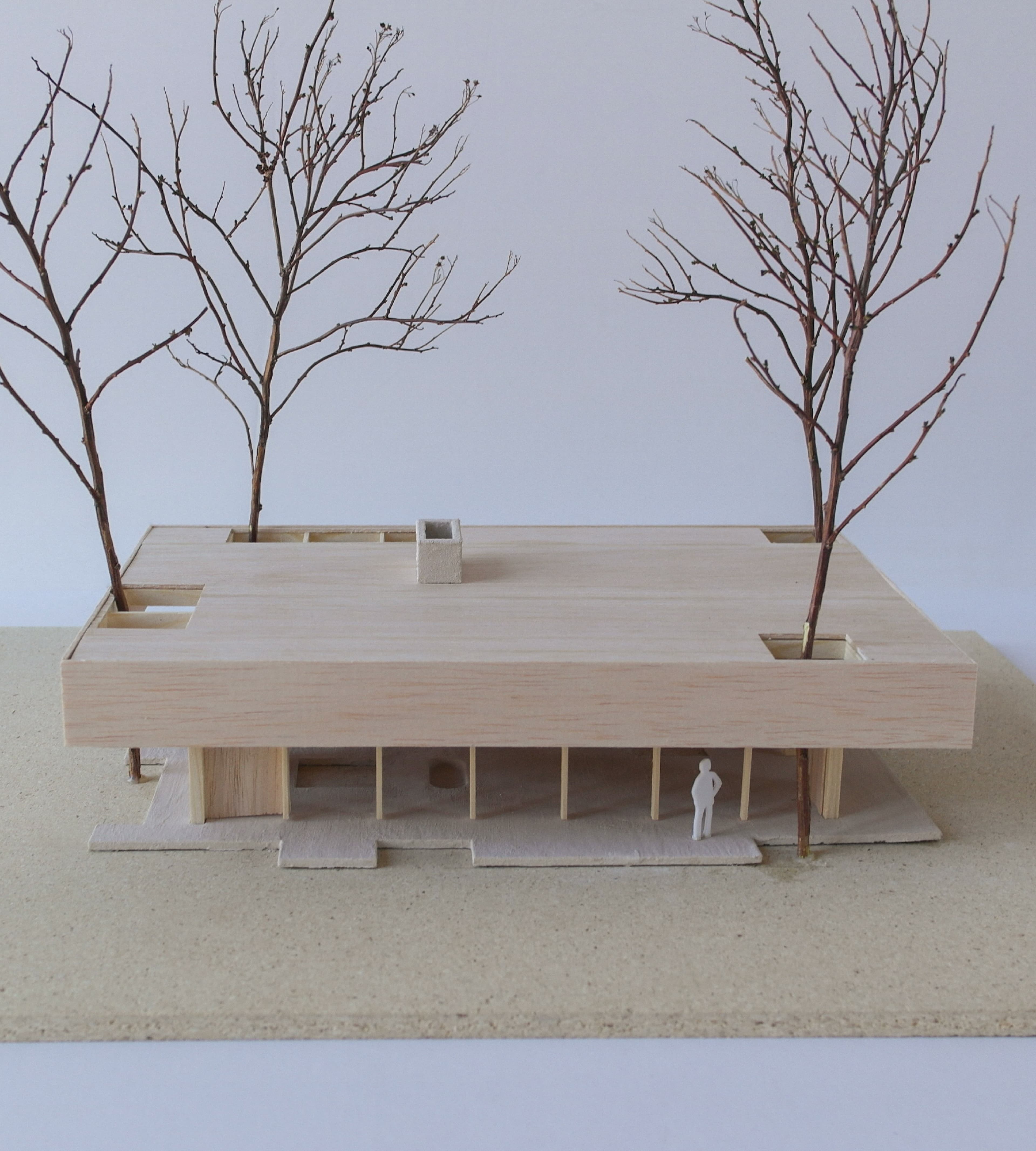 Mellom furutrærne 6