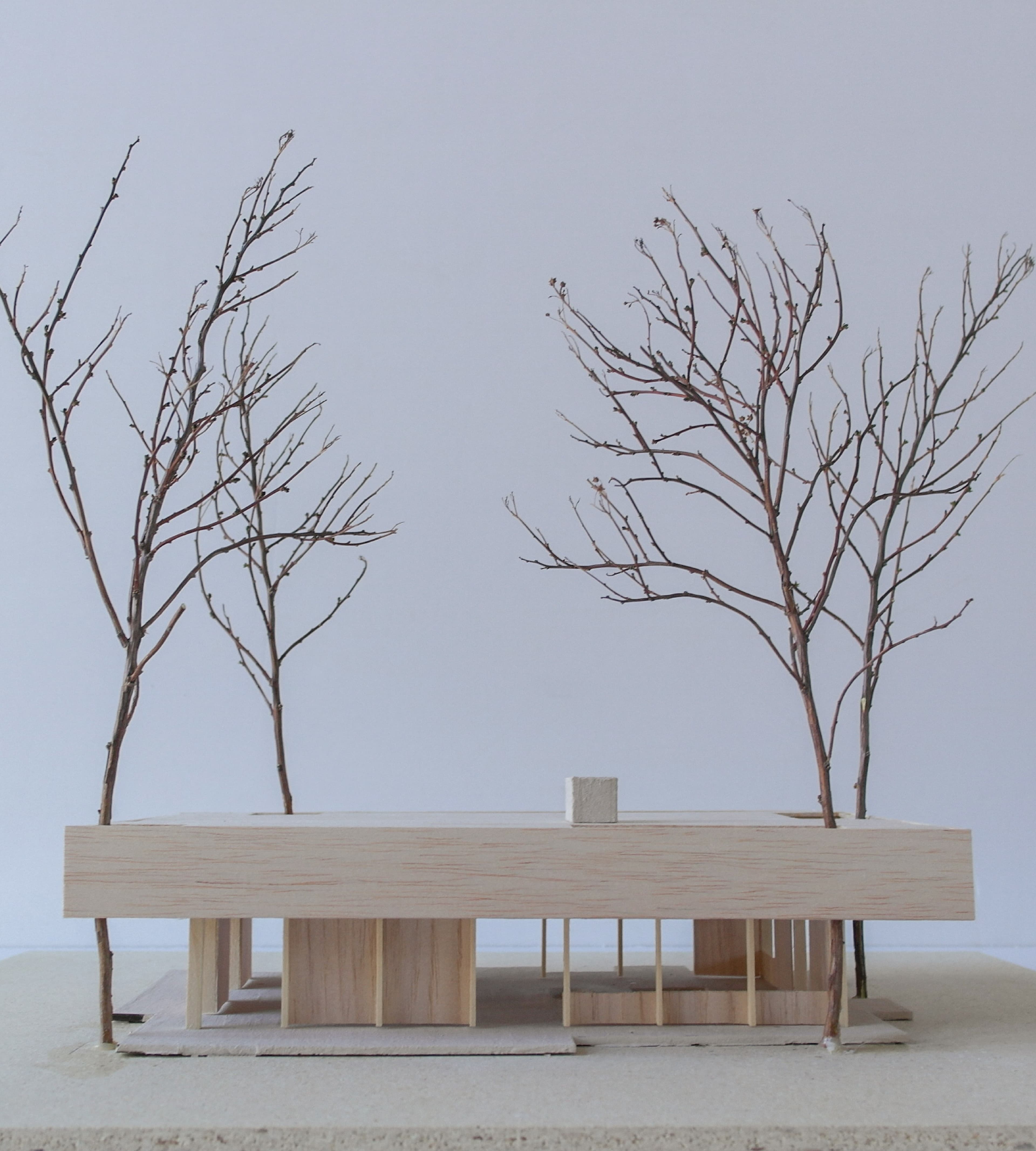 Mellom furutrærne 7